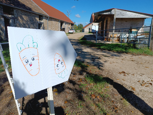 Chantier carottes